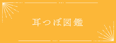 耳つぼ図鑑